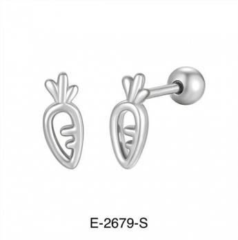 Серьги Stainless steel E-2679-S